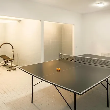 Vila Pinul Si Mesteacanul Πανσιόν